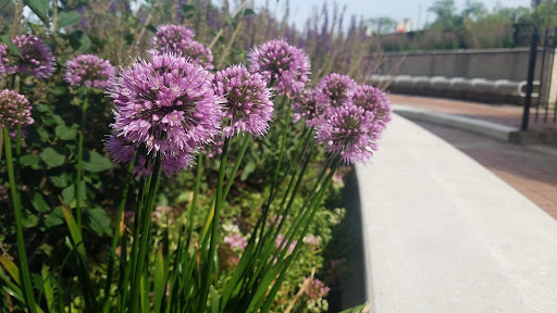 Tourist Attraction «Leaning Tower of Niles», reviews and photos, 6300 Touhy Ave, Niles, IL 60714, USA