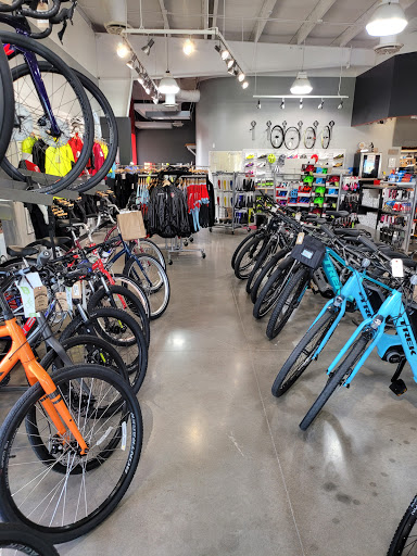 Bicycle Store «Phat Tire Bike Shop», reviews and photos, 9708 Riverside Pkwy Suite A, Tulsa, OK 74137, USA