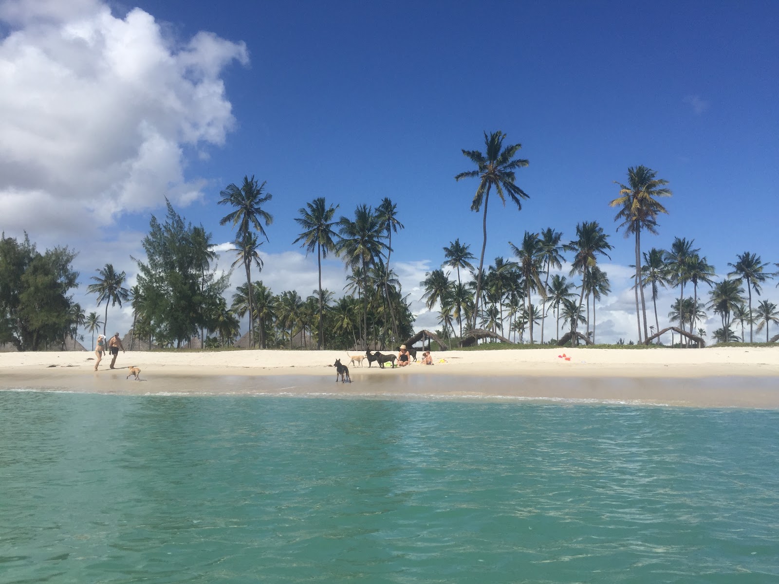 Foto av Family Beach med hög nivå av renlighet