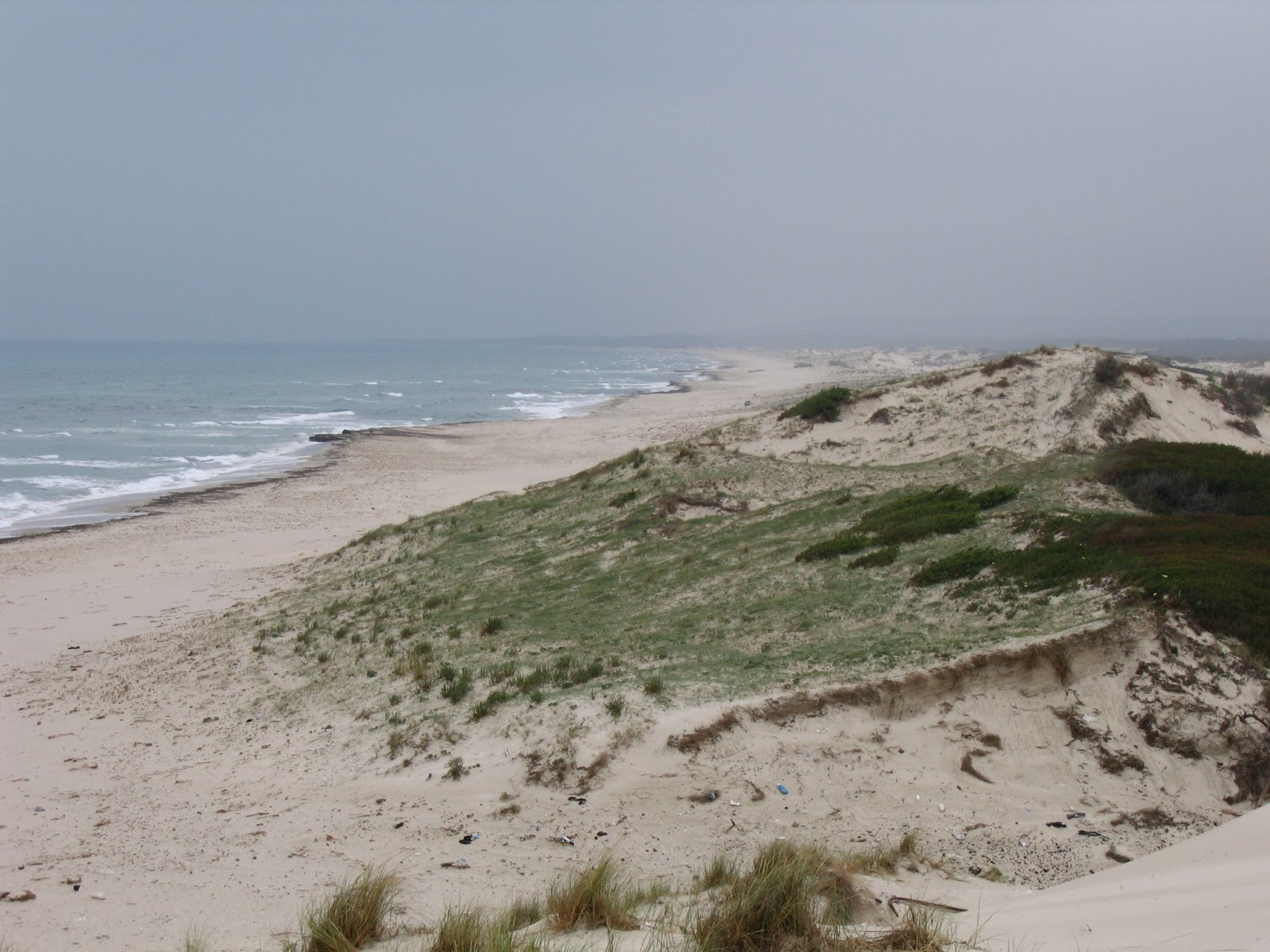 Plage Oued El Abid的照片 带有长直海岸