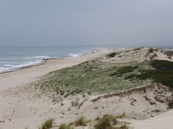 Plage Oued El Abid