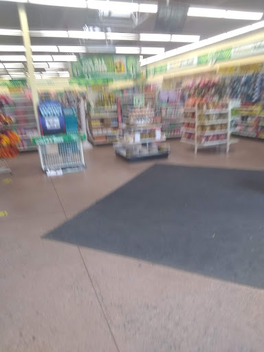 Dollar Store «Dollar Tree», reviews and photos, 2044 Victory Blvd, Portsmouth, VA 23702, USA