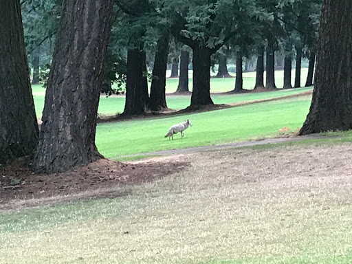 Golf Course «Glendoveer Golf & Tennis», reviews and photos, 14015 NE Glisan St, Portland, OR 97230, USA