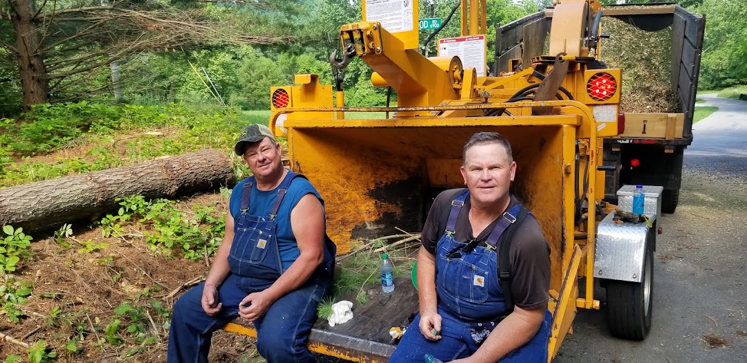 C & C Tree Services