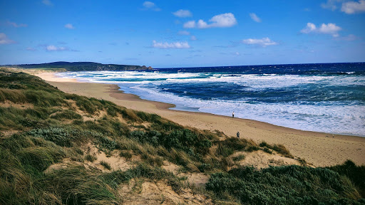 Travel Agency «About Australia», reviews and photos, 226 W Rector #1, San Antonio, TX 78216, USA