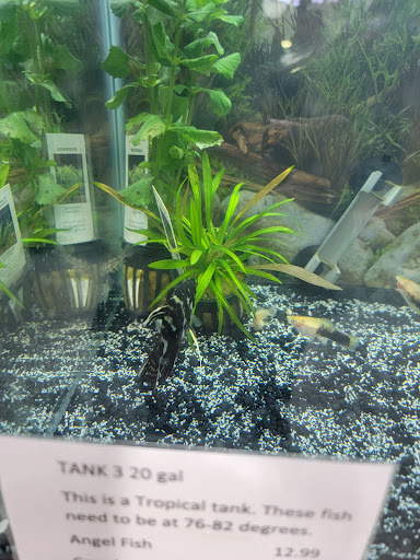 Pet Supply Store «Mini Pet Mart», reviews and photos, 1609 Virginia Ave, North Bend, OR 97459, USA