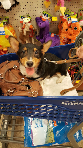 Pet Supply Store «PetSmart», reviews and photos, 2901 Texas Sage Trail, Fort Worth, TX 76177, USA