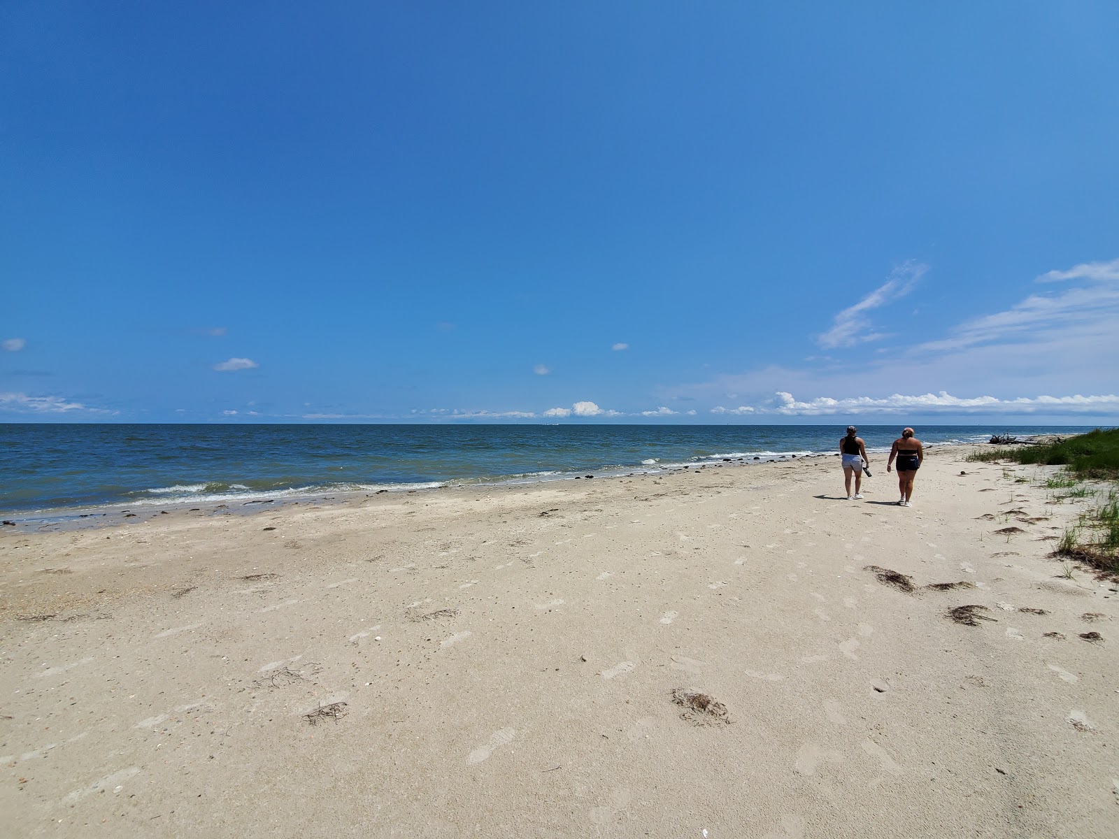 Foto av Grandview beach vildmarksområde