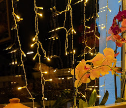 The 21 vietnamesisches Restaurant photo