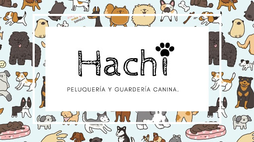 Hachi Peluquería y Guardería canina