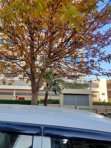 Google Maps image 20