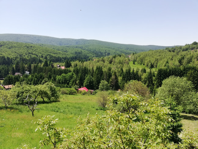Parcul Național Semenic - Cheile Carașului - Agenție de turism