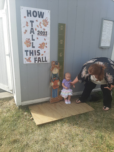 Pumpkin Patch «Barts Farm and Pumpkin Patch», reviews and photos, 7307 Alburnett Rd, Marion, IA 52302, USA