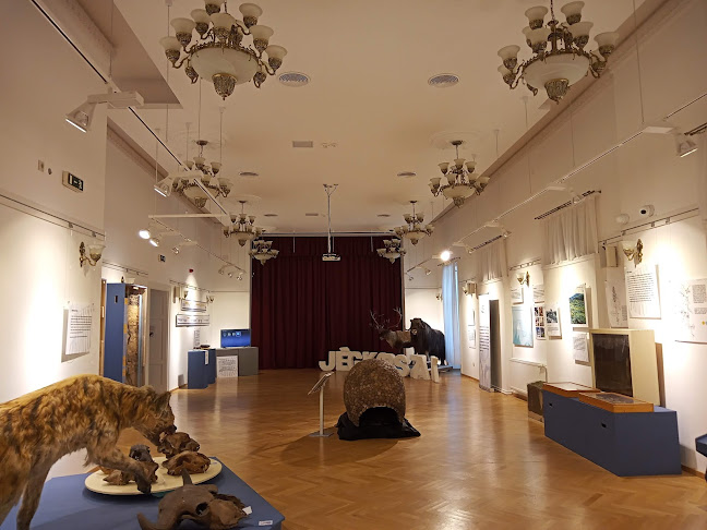 Semsey-kastély - Múzeum