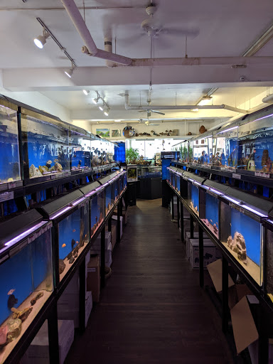 Pet Supply Store «Wet Spot Tropical Fish», reviews and photos, 4310 NE Hancock St, Portland, OR 97213, USA
