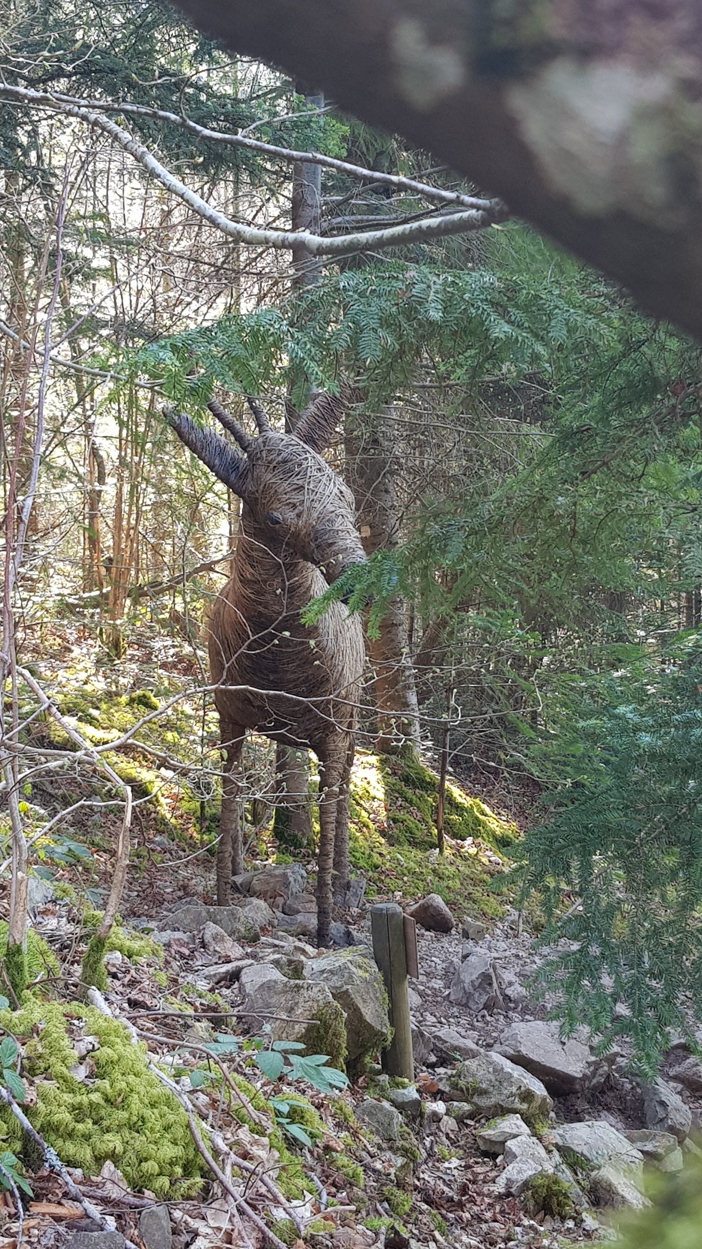 Photo n° 21 de l'avis de Nyko.a fait le 26/03/2022 à 17:25