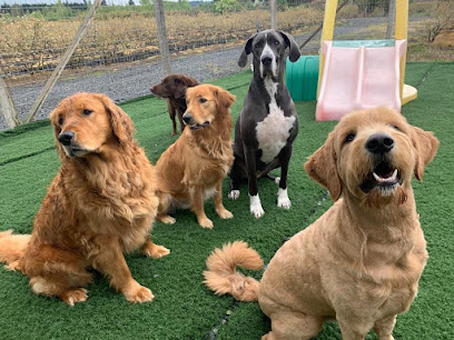 Country Paws Kennels