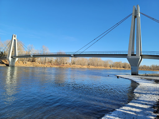 Marshes in Calgary