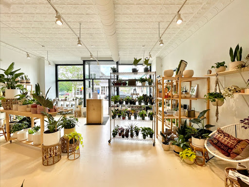 Boutique «bark & bloom», reviews and photos, 1100 3rd St SE, Cedar Rapids, IA 52401, USA