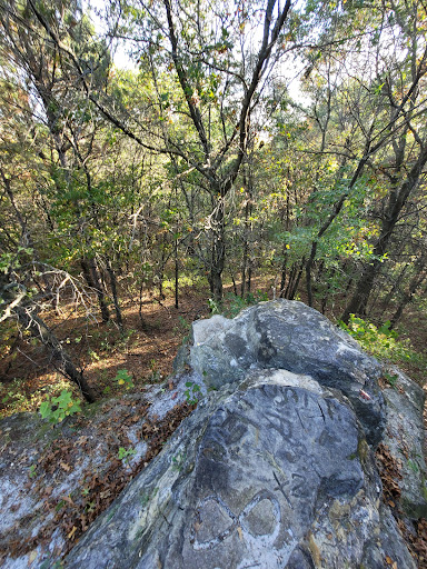 Nature Preserve «Chimney Rock Scientific and Natural Area (SNA)», reviews and photos, Joan Ave, Hastings, MN 55033, USA