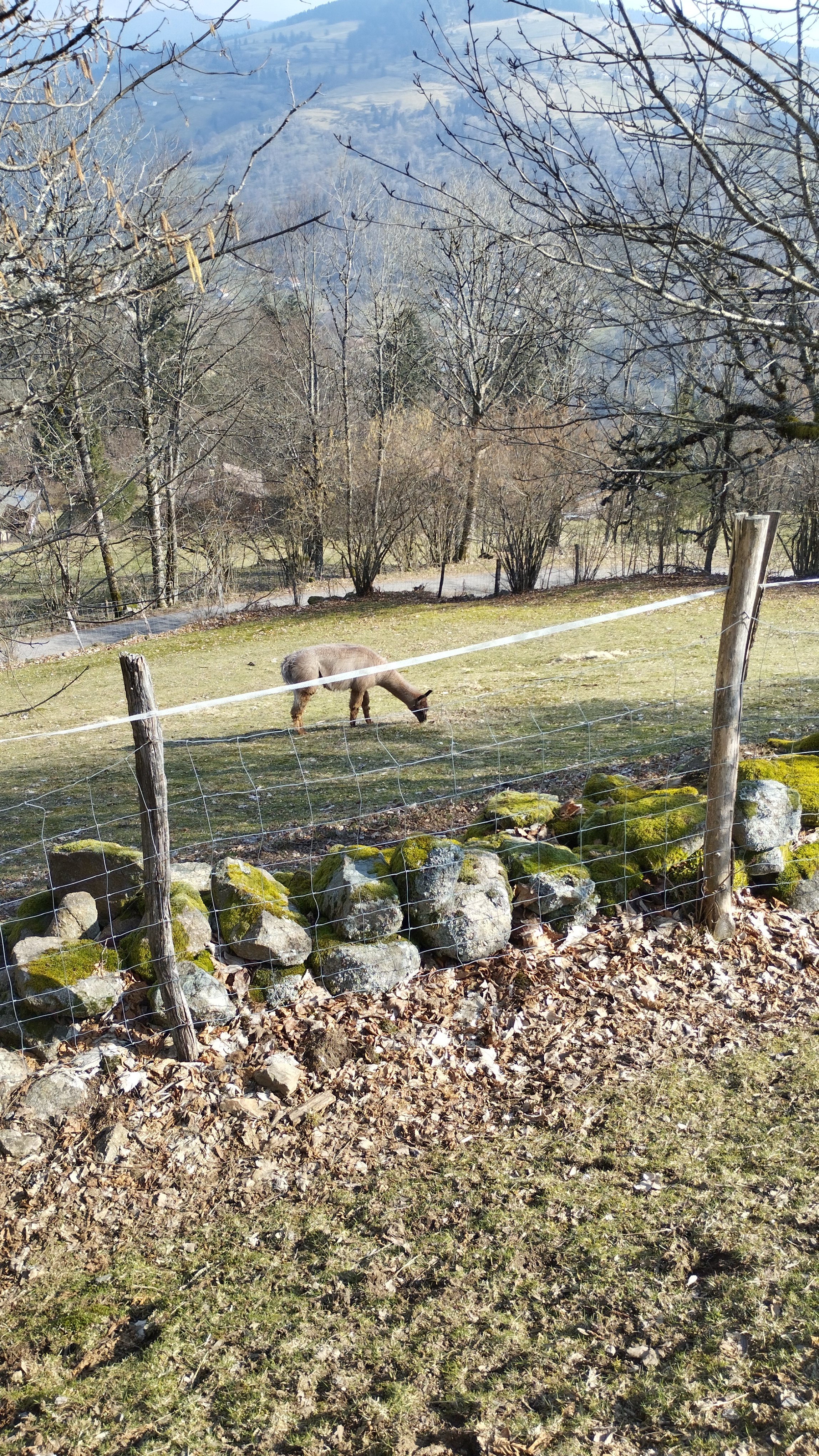 Photo n° 5 de l'avis de Cedric.. fait le 07/03/2024 à 16:53