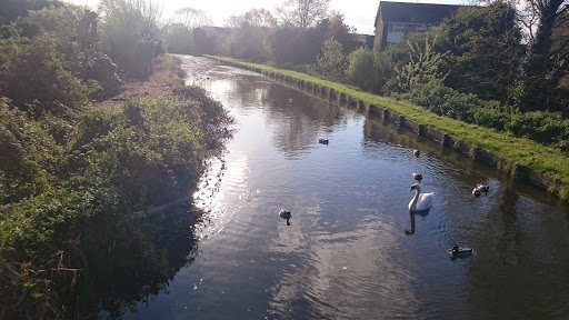 Longford River