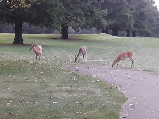 Park «Rouge Park», reviews and photos, Joy Rd, Detroit, MI 48228, USA
