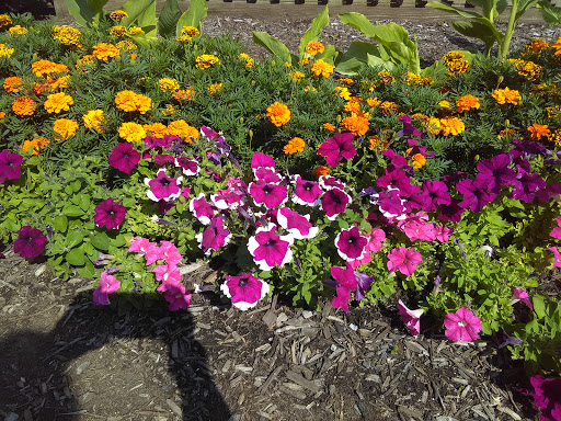 Amusement Park «Seabreeze Amusement Park», reviews and photos, 4600 Culver Rd, Rochester, NY 14622, USA