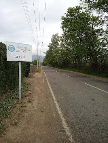 Millahue s/n, 2970000 San Vicente de Tagua Tagua, O'Higgins