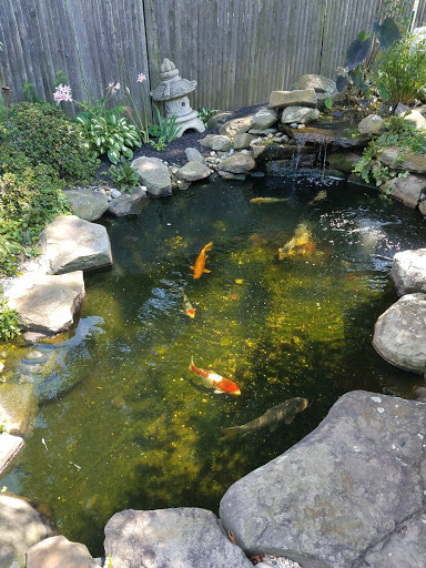 Pet Store «Fins Feathers Paws & Claws», reviews and photos, 436 Main St, Harleysville, PA 19438, USA