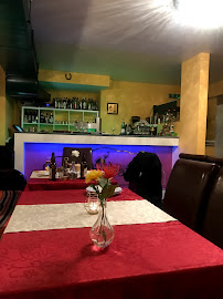 Atmosphère du Restaurant indien Le Maharaja à Colmar - n°2