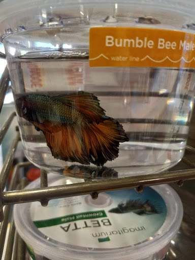 Pet Supply Store «Petco Animal Supplies», reviews and photos, 1507 Rockville Pike, Rockville, MD 20852, USA