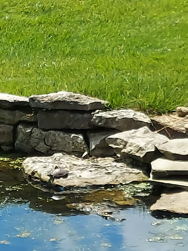 Private Golf Course «Fox Run Golf Club», reviews and photos, 1 Putt Ln, Eureka, MO 63025, USA