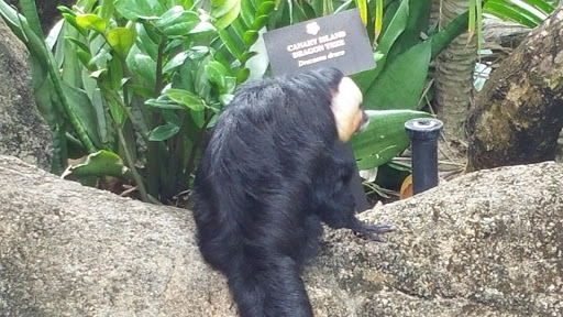 Shopping Mall «Galvez Shopping Center», reviews and photos, 6228 Broadway St, Galveston, TX 77551, USA