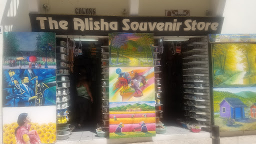 The Alisha Souvenir Store