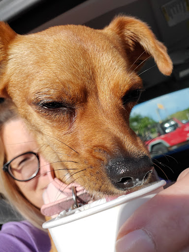 Coffee Shop «Starbucks», reviews and photos, 9150 Calumet Ave, Munster, IN 46321, USA