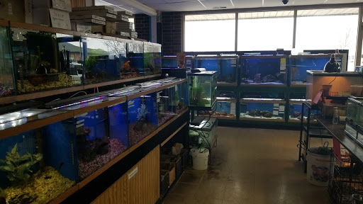 Pet Store «Birds & Beasts Pet Shop», reviews and photos, 35 Berkshire Dr # 18, Crystal Lake, IL 60014, USA