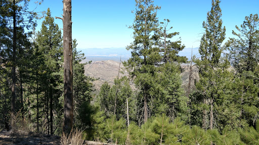 Upper Green Mountain Trailhead