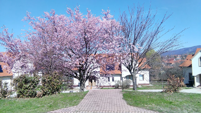 Magyar Máltai Szeretetszolgálat Gondviselés háza - Páty