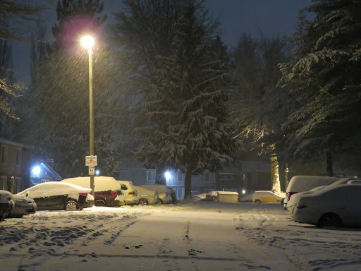 Deschutes Cove & Tolmie Cove Apartments