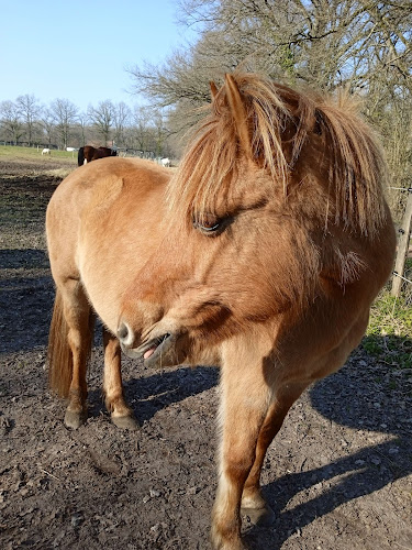 Club Hippique De Brinon Sur Sauldre à Brinon-sur-Sauldre