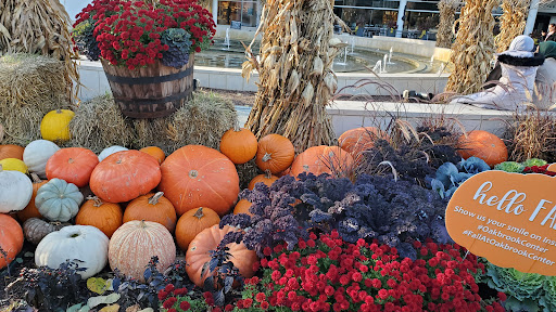 Computer Store «Apple Oakbrook», reviews and photos, 70 Oakbrook Center, Oak Brook, IL 60523, USA