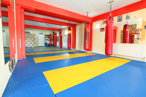 PRINCE GYM K-1 Sala MMA Sector 6, Bucuresti. Instructor K1, Kickboxing