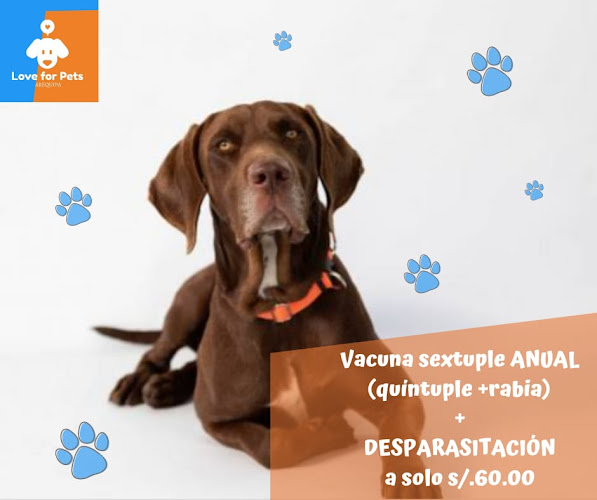 Opiniones de Love For Pets - Arequipa en Alto Selva Alegre - Peluquería