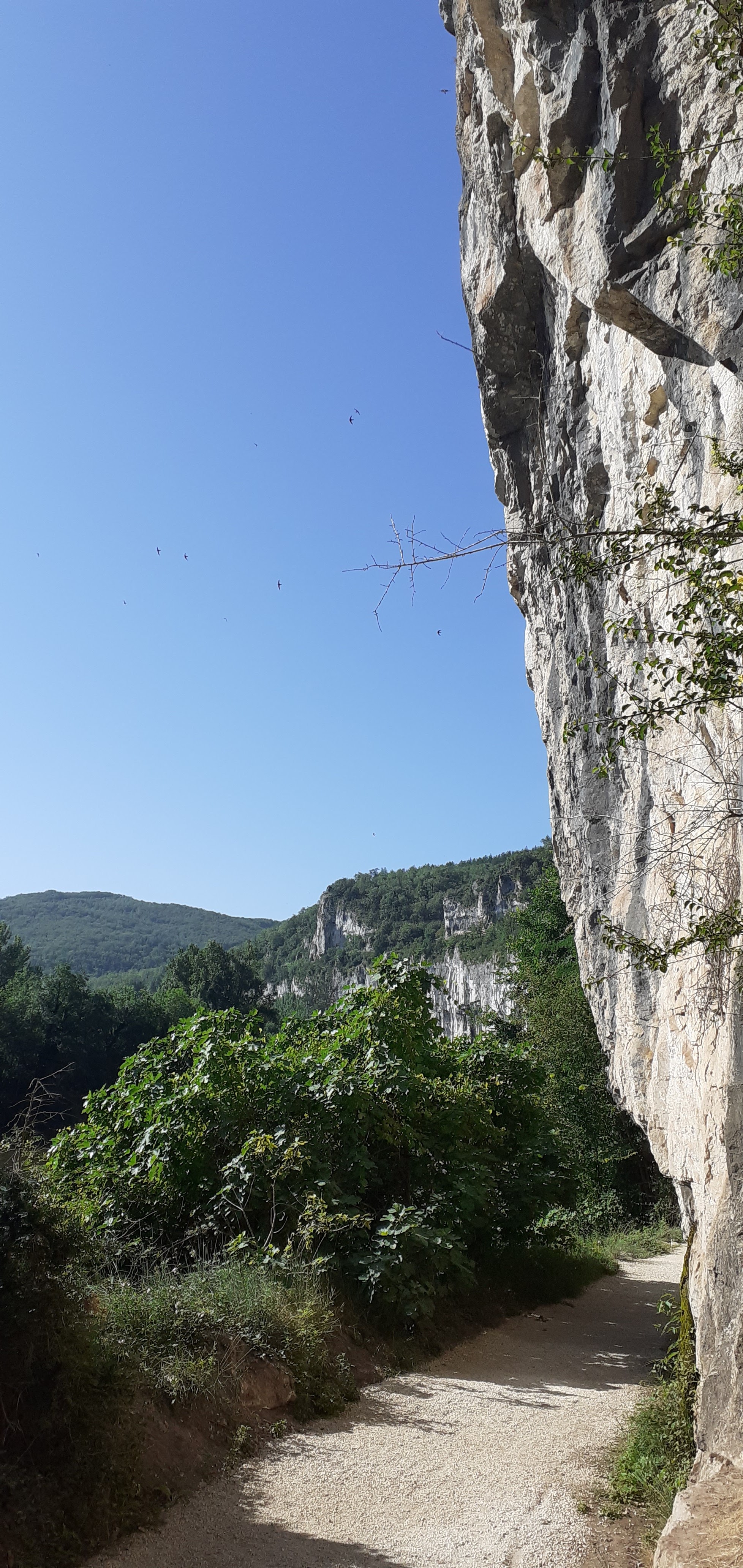 Photo n° 3 de l'avis de Sébastien.e fait le 03/08/2021 à 20:09