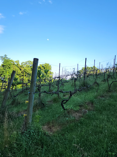 Winery «Moon Dancer Vineyards & Winery», reviews and photos, 1282 Klines Run Rd, Wrightsville, PA 17368, USA