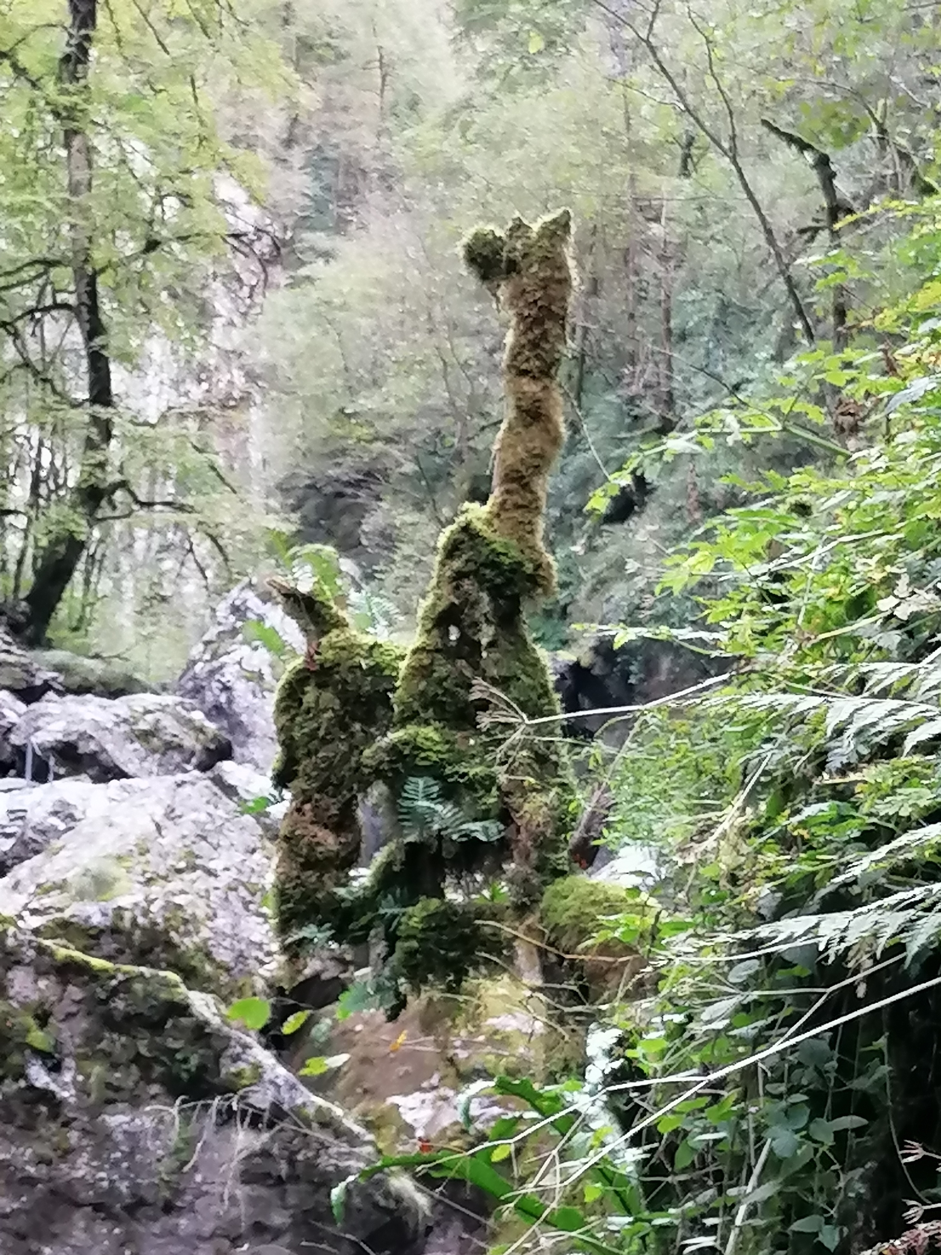 Photo n° 2 de l'avis de Amaya.a fait le 27/10/2019 à 14:21
