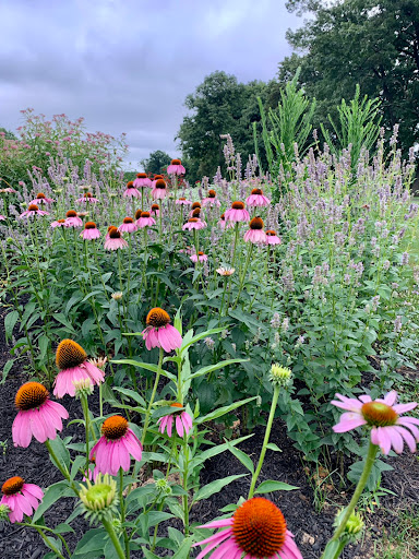 Golf Course «Reston National Golf Course», reviews and photos, 11875 Sunrise Valley Dr, Reston, VA 20191, USA