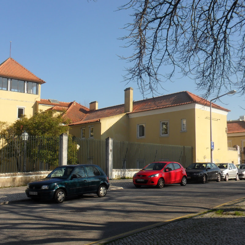 5 image