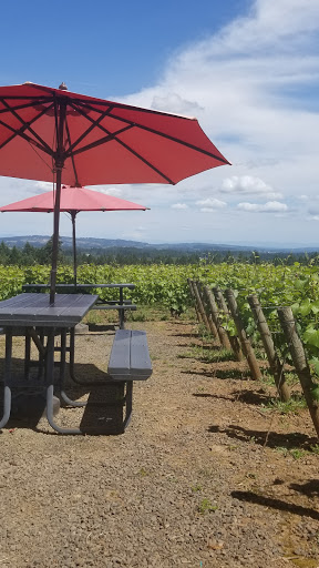 Winery «Ardiri Winery & Vineyards», reviews and photos, 35040 Southwest Unger Road, Cornelius, OR 97113, USA